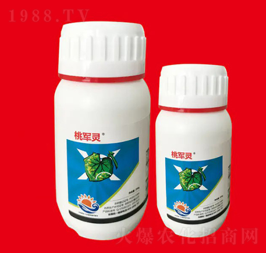 2%����ù�� ��܊�` ��Ƚ���W