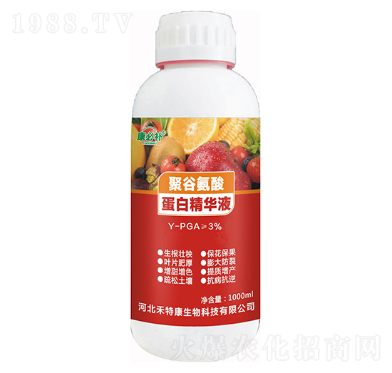 1000ml�۹Ȱ��ᵰ�׾��AҺ �����a(b��) ���ؿ�