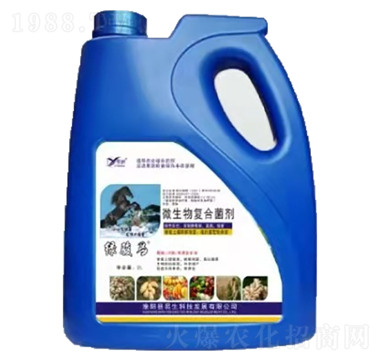 ΢����ͺϾ��� �G�E�R��Ͱ�� ����