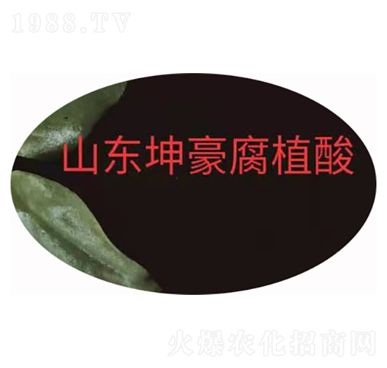 �۠��S����� ����