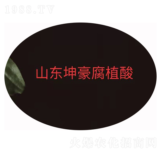 �۠ֲ��� ����