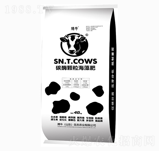 ̼ø�w�������-�vţ