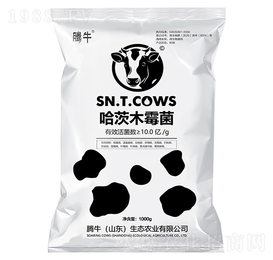 ����ľù��-�vţ