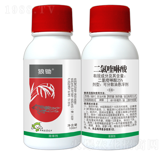 25%���������-���z-�S�՘�