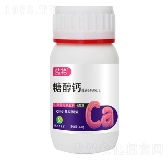 �Ǵ��}-�{(l��n)�G-�S�՘�