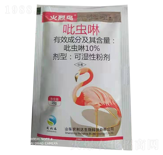 10%���x�� �����B ��̩����