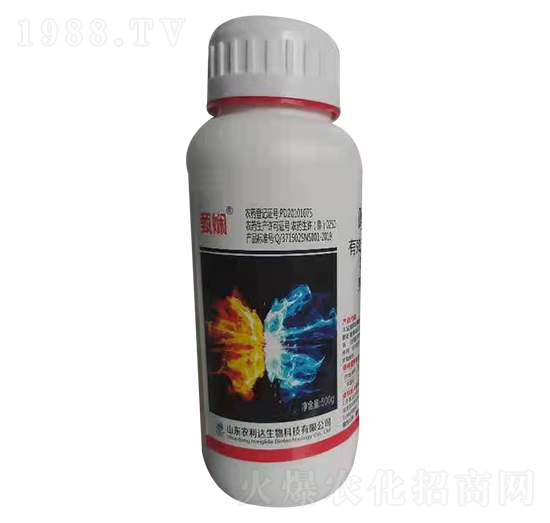 5%������ �狹 ��̩����