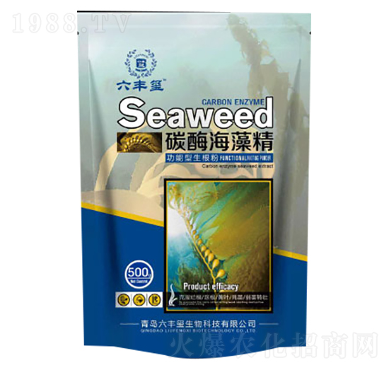 ̼ø���徫-���S�t