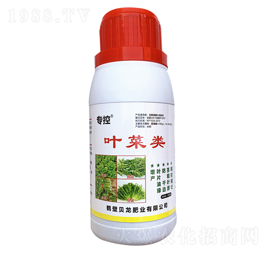 �~���(l��i)��(zhu��n)��-����r(n��ng)��