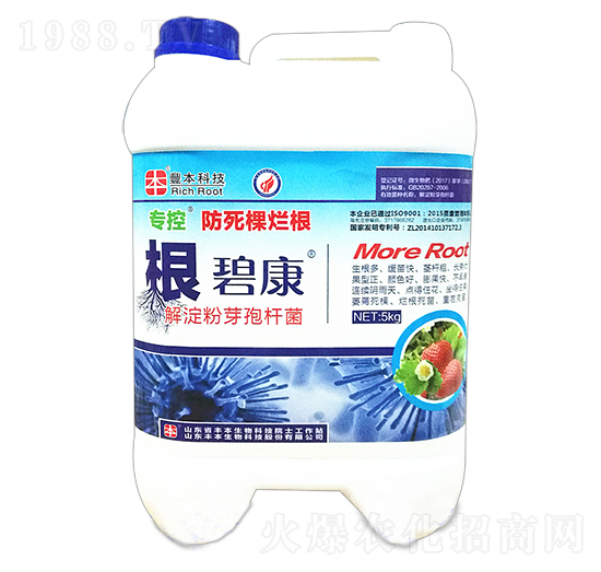 ���à�������-���̿�-����r(n��ng)��