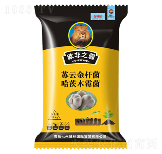 ������طN��-�W��֮��