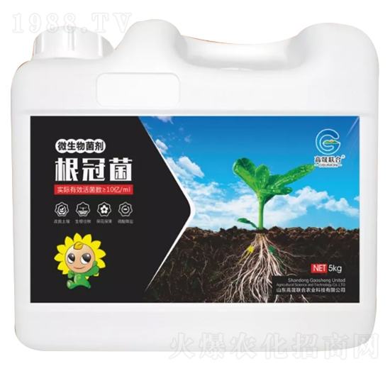 ΢������� ���ھ� ����