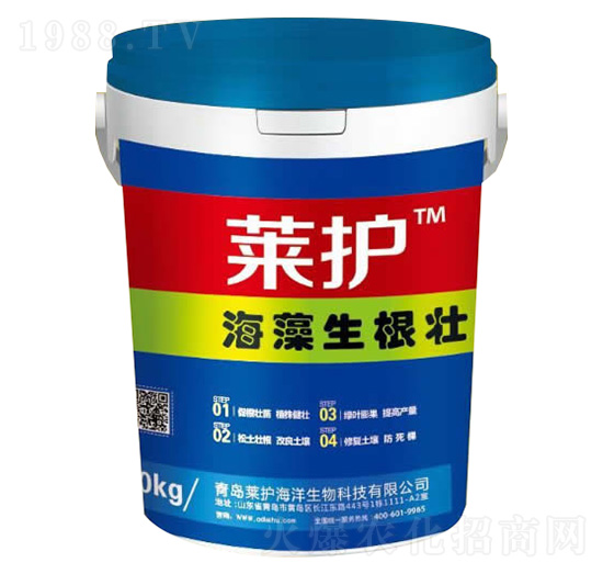 ����������-�R�o(h��)-����