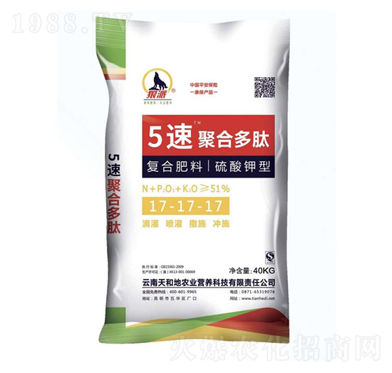 ������͏ͺϷ���17-17-17-5�پۺ϶���-����