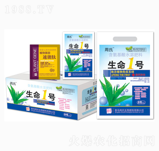 ����1̖-�����r��