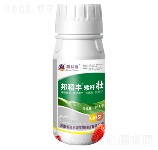 ��S������ ¡��Դ����