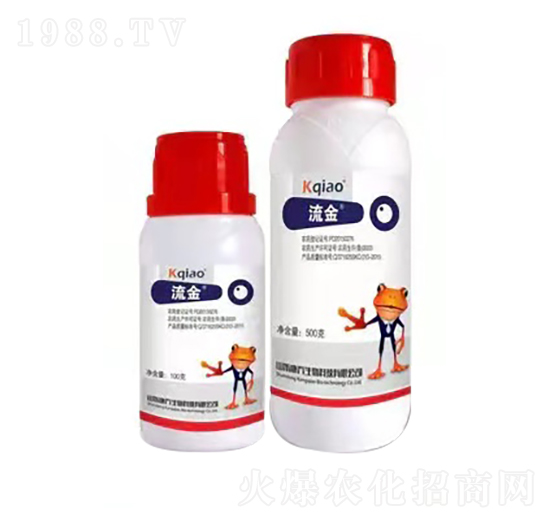 240��ÿ�������� ���� ��������