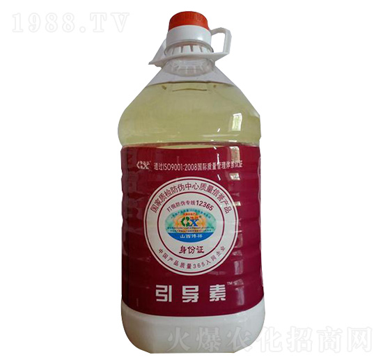 ����(d��o)��-��������