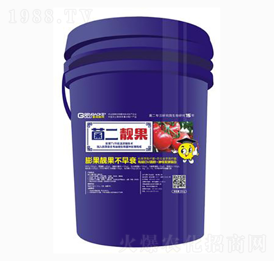 �����n��������n������˥��-��ɭ�߿�