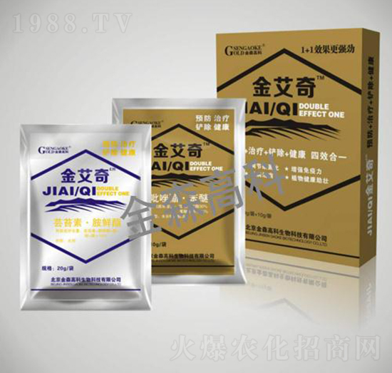 ����-��ɭ�߿�