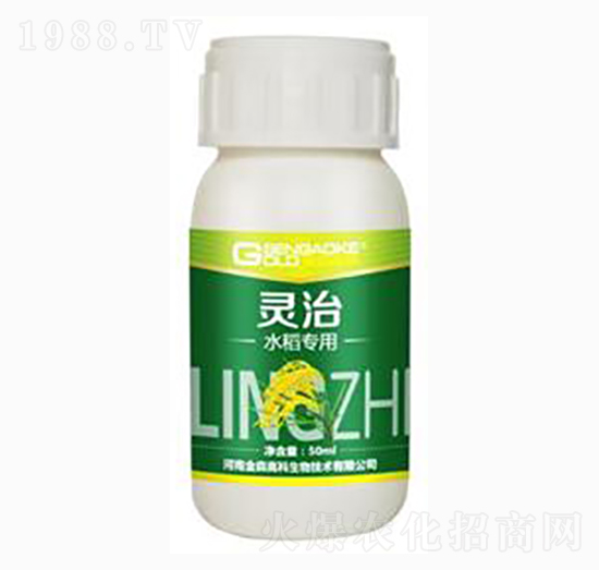 ˮ�������͏ͺ�΢�������-�`��-��ɭ�߿�