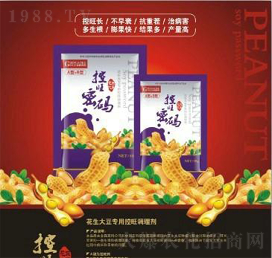 �����󶹌��ÿ����ܴa--��ɭ�߿�