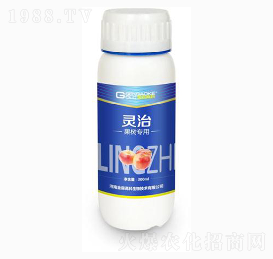 ���䌣���͏�(f��)��΢�������-�`��-��ɭ�߿�