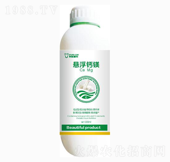 �Ҹ��}�V--��ɭ�߿�