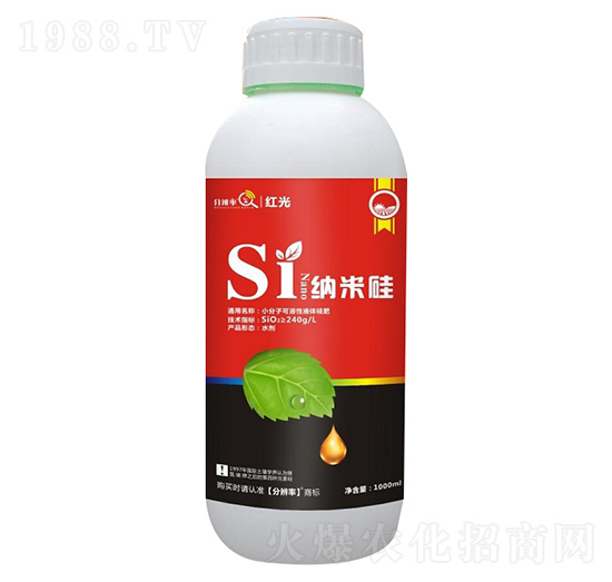 �{�׹� �t�� �ֱ�������