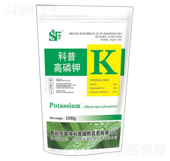 ����� ���� ���Y�Z