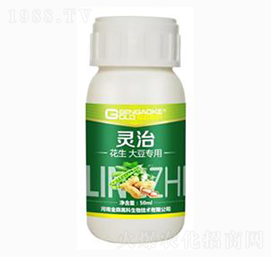 �����󶹌����͏ͺ�΢�������-�`��-��ɭ�߿�