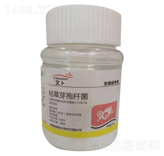 �ݲ�ѿ�ߗU������ù�����ã�-����-��ɭ�߿�