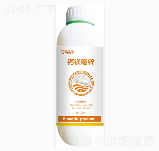 �}�V�\��-��ɭ�߿�