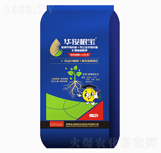 �A������-��ɭ�߿�