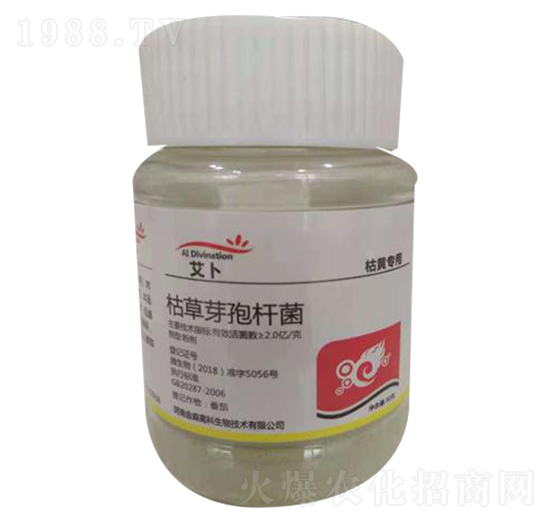 �ݲ�ѿ�ߗU�������Sή���ã�-����-��ɭ�߿�