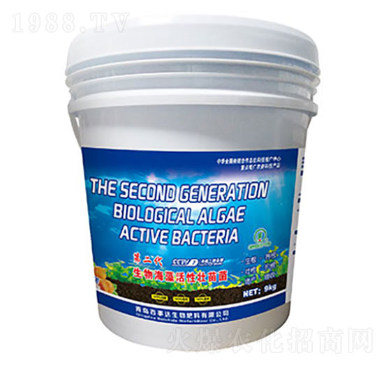 �ڶ������ﺣ����ԉ���� �����_