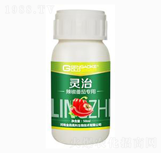 �������ь����͏�(f��)��΢�������-�`��-��ɭ��