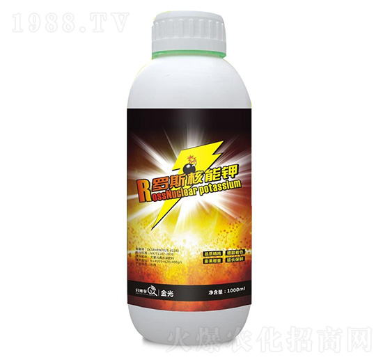 R�_˹����� �ֱ�������