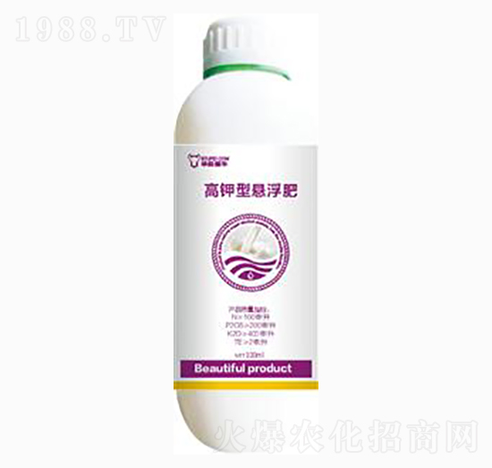 ����͑Ҹ���-��ɭ�߿�