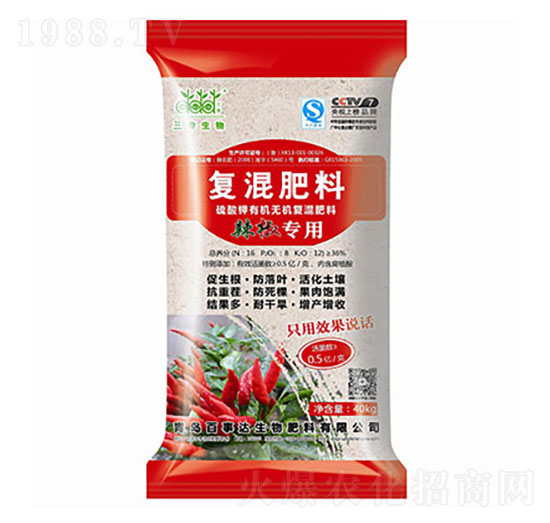 �������÷� ���ۏ�(f��)����� �����_