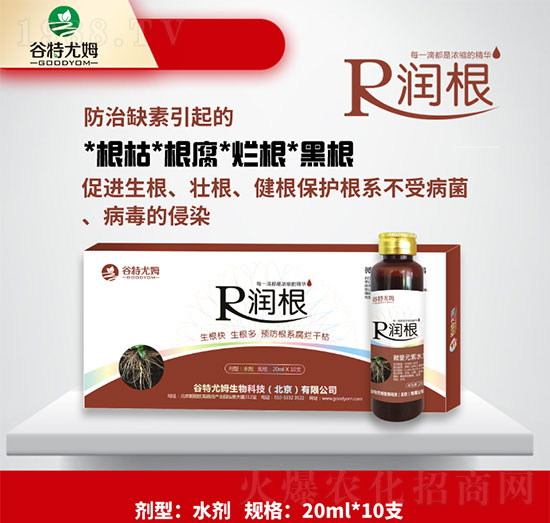 ����-�������������࣬�A(y��)����ϵ�����ɿ�-������ķ