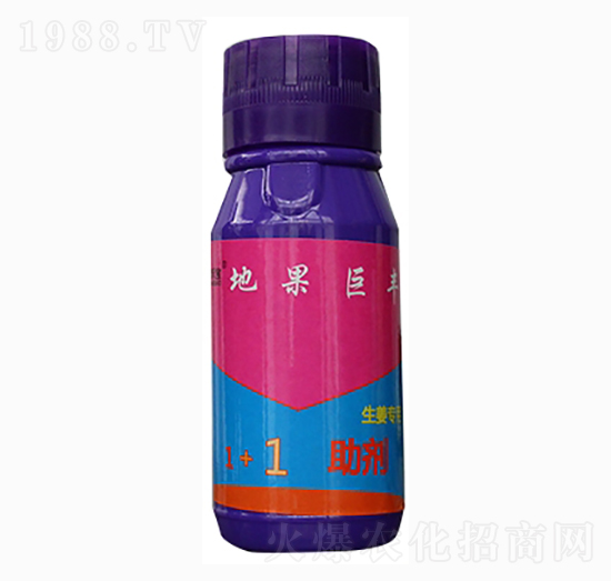 �ع����S-ʩ�̌�