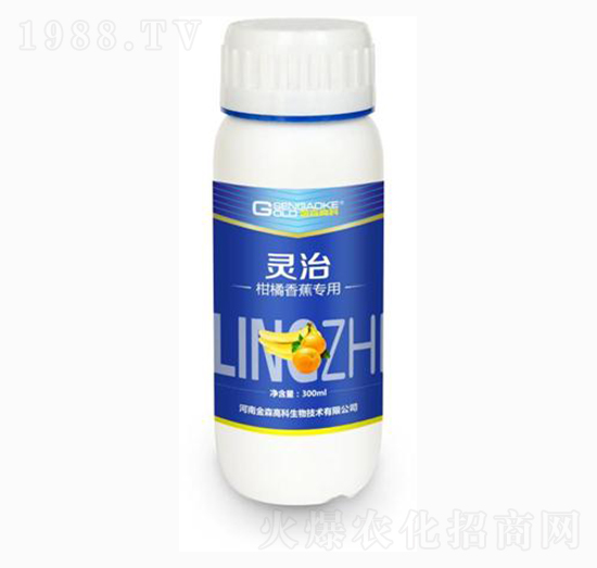 �����㽶�����͏�(f��)��΢�������-�`��-��ɭ�߿�