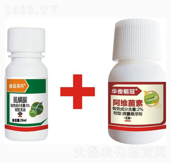 �A�����ښ��x(ch��ng)�M�����b-��ɭ�߿�