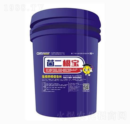 ���������������B(y��ng)�������L��-��ɭ�߿�