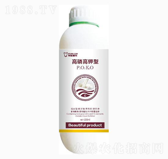 ���׸����-��ɭ�߿�