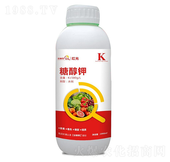 �Ǵ�� �t�� �ֱ�������