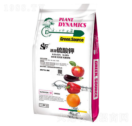 ��������� ���Y�Z