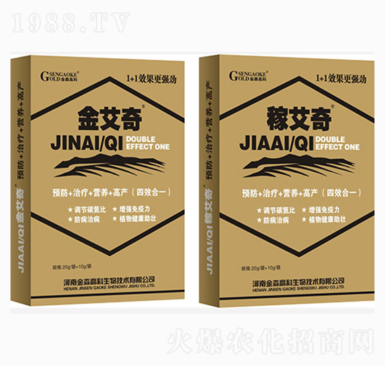 �����ײ�-��ɭ�߿�