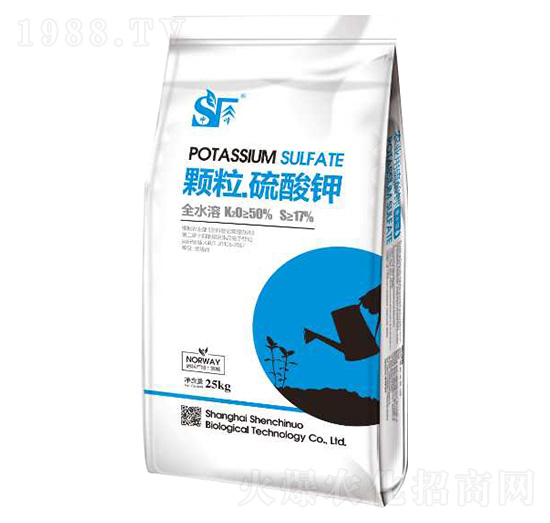 �w��������� ���Y�Z